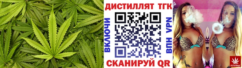 где купить наркоту  Железногорск-Илимский  ТГК концентрат 