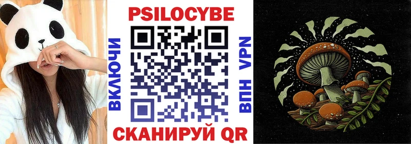 продажа наркотиков Железногорск-Илимский Псилоцибиновые грибы GOLDEN TEACHER